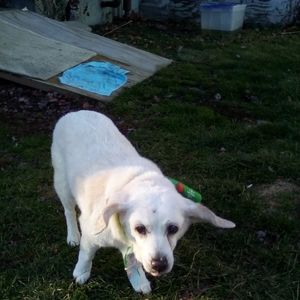 Meet your Posher, Dave